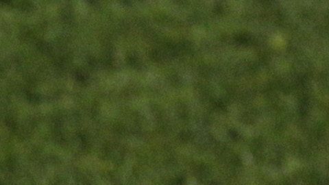 Mexico head coach Javier Aguirre gestures during the World Cup group A soccer match between France and Mexico at Peter Mokaba Stadium in Polokwane, South Africa, Thursday, June 17, 2010. (AP Photo/Hassan Ammar)