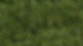Mexico head coach Javier Aguirre gestures during the World Cup group A soccer match between France and Mexico at Peter Mokaba Stadium in Polokwane, South Africa, Thursday, June 17, 2010. (AP Photo/Hassan Ammar)