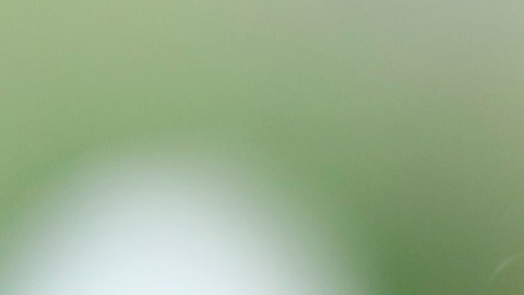 Nina Christen, campeona olímpica de tiro en Tokio 2020, es una de las deportistas suizas que forma parte del ejército y que estará participando en París 2024.
