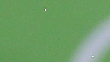 Esta es la agenda del 30 de julio.