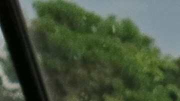 Entra en vigor nueva licencia de conducción para inmigrantes indocumentados en Illinois