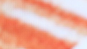 Dolores Huerta es  lideresa sindical y defensora de derechos civiles.