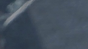 Altos niveles de bacterias en el agua provocan el cierre de múltiples playas en Estados Unidos