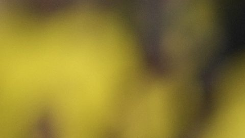 Colombia y Uruguay son de las mejores selecciones de la copa.