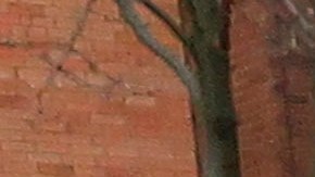 Un antiguo buzón para votar en ausencia es visto en Madison, Wisconsin, el martes 25 de octubre de 2022.