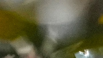 Real Madrid's Luka Modric kisses the trophy after winning the Champions League final soccer match between Borussia Dortmund and Real Madrid at Wembley stadium in London, Saturday, June 1, 2024. (AP Photo/Kirsty Wigglesworth)