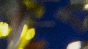 Real Madrid celebra tras ganar la UEFA Champions League.