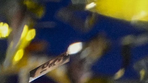 Real Madrid celebra tras ganar la UEFA Champions League.