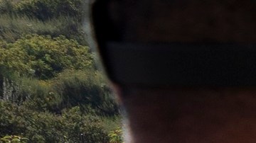 Las peticiones de asilo en la frontera están restringidas.