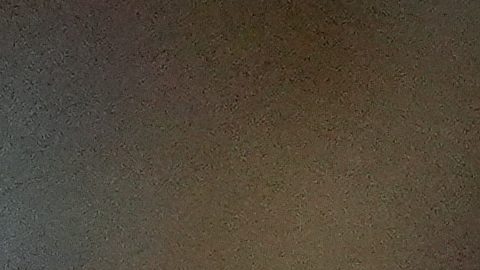 Argentina ya le ganó a Canadá en su debut.