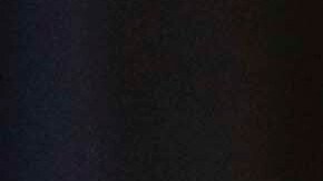 Harris contundente: "Joe Biden es nuestro candidato"