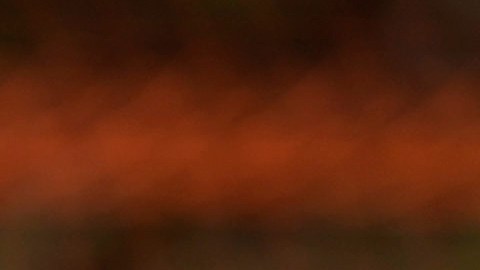 La baja por lesión de Edson Álvarez fue un duro golpe para la Selección de México en esta Copa América 2024.