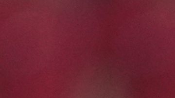 Referee Felix Zwayer in action during a Group F match between Turkey and Portugal at the Euro 2024 soccer tournament in Dortmund, Germany, Saturday, June 22, 2024. (AP Photo/Darko Vojinovic)