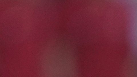 Referee Felix Zwayer in action during a Group F match between Turkey and Portugal at the Euro 2024 soccer tournament in Dortmund, Germany, Saturday, June 22, 2024. (AP Photo/Darko Vojinovic)