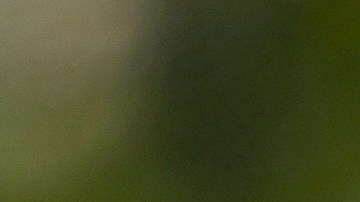 Vinícius Júnior disputó los tres primeros partidos de Brasil en los que anotó dos goles.