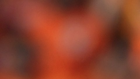 Holanda, capitaneada por Virgil van Dijk, buscará su pase a cuartos de final este martes.