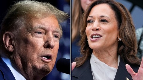 Los primeros sondeos sobre Trump y Harris revelan, por ahora, un empate técnico.