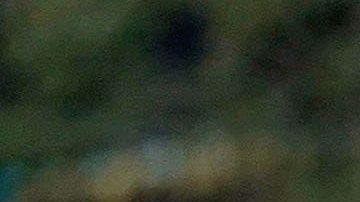 Medios de comunicación demandaron para obtener acceso a los registros del tiroteo de Uvalde.