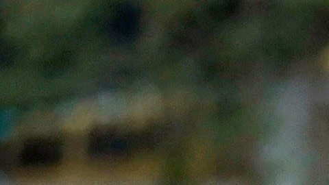 Medios de comunicación demandaron para obtener acceso a los registros del tiroteo de Uvalde.