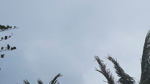 México en alerta ante el avance del huracán Beryl que podría impactar en la península de Yucatán