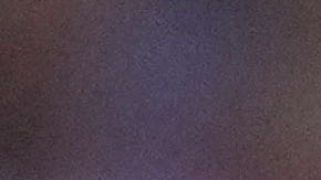 Christian Pulisic reclamando airadamente al árbitro principal, Kevin Ortega, por no haber revisado en el VAR una jugada que marcó la eliminación norteamericana en la Copa América 2024.