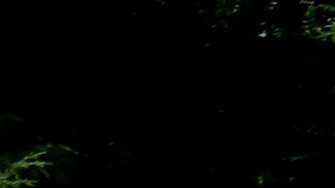 Ola de calor: temperaturas al oeste y sur de EEUU superan los 40 grados