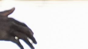 Imagen de la jugada que analizó la Conmebol.