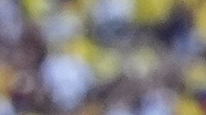 Colombia finalizó primera en su grupo.