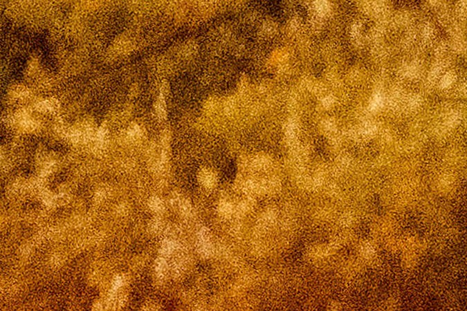 Ola de calor: temperaturas al oeste y sur de EEUU superan los 40 grados