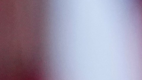 "No voy a ninguna parte", insiste Biden en celebración Día de la Independencia