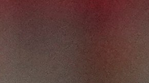 Fernando "Bocha" Batista, entrenador de la Vinotinto, durante el encuentro contra Canadá por los cuartos de final de la Copa América 2024.