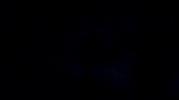 Fans of Uruguay celebrate after defeating Brazil in a penalty shootout during a Copa America quarterfinal soccer match in Las Vegas, Saturday, July 6, 2024.(AP Photo/David Becker)