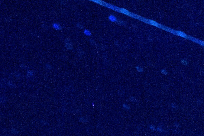 Ola de calor en EE.UU. bate nuevos récords y deja varias muertes