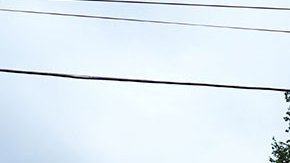 Huracán Beryl deja ocho muertos a su paso por EE.UU. y millones siguen sin luz en Texas