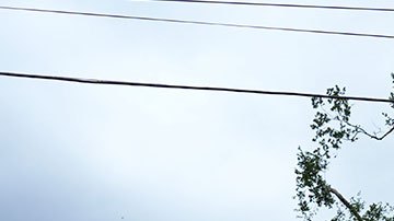 Huracán Beryl deja ocho muertos a su paso por EE.UU. y millones siguen sin luz en Texas