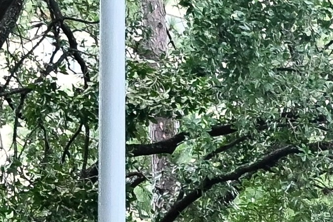 Beryl ya perdió su condición de tormenta tropical
