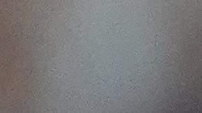 Messi marcó gol ante Canadá.