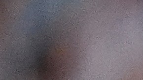 Argentina's Lionel Messi, left, vie for the ball with Canada's Derek Cornelius during a Copa America semifinal soccer match in East Rutherford, N.J., Tuesday, July 9, 2024. (AP Photo/Julia Nikhinson)