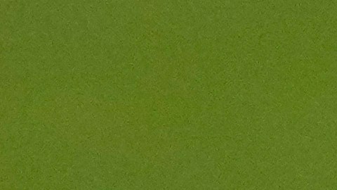 Alphonso Davies dando muestras de dolor durante las semifinales de la Copa América 2024 que Canadá disputó ante Argentina.