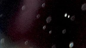 Problemas en las gradas entre jugadores y aficionados.