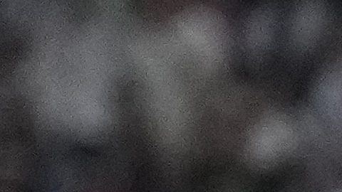 Spain's Dani Olmo celebrates after scoring his side's second goal during a semifinal match between Spain and France at the Euro 2024 soccer tournament in Munich, Germany, Tuesday, July 9, 2024. (AP Photo/Manu Fernandez)