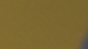 Sting Ray Robb salió en camilla.