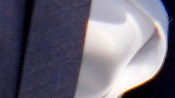 Brandon Bible aseguró que tras el ataque Donald Trump ganaría las elecciones presidenciales de 2024.