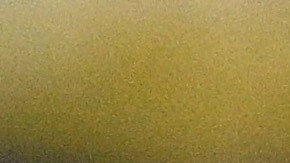 El mexicano Isaac Paredes viene de participar en su primer MLB-All Star Game de su carrera.