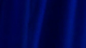 Los demócratas armaron estrategia para alertar sobre el Proyecto 2025.