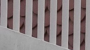 Comienzan los Juegos Olímpicos de París.