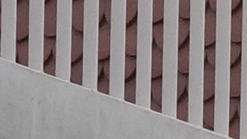 Comienzan los Juegos Olímpicos de París.