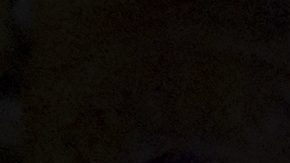 Revisa el calendario con todos los eventos que puedes ver hoy, lunes 29 de julio.