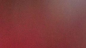 Nicolás Otamendi celebra el gol que le daba el empate a Argentina.