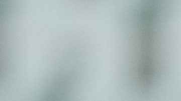 El juez principal decretó la posición adelantada.